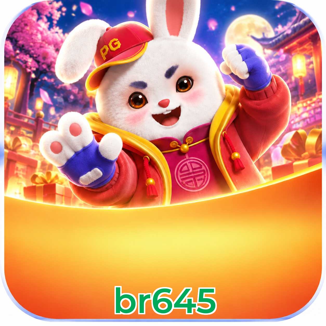 br645 Logo 3